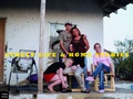 Cover: Street Life & Home Stories - Hatje Cantz Verlag