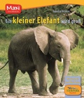 Cover: Die Tierkinder-Bibliothek. Ein kleiner Elefant wird gro&szlig; - Ellermann