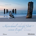 Cover: Manchmal schickt Gott seinen Engel - SCM