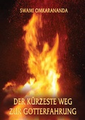 Cover: Der k&uuml;rzeste Weg zur Gotterfahrung - Schwab, Heinrich
