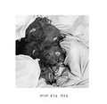 Cover: NON EST HIC - Schwabe Verlagsgruppe AG Schwabe Verlag