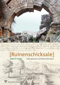 Abbildung von: Ruinenschicksale - Schwabe Verlagsgruppe AG Schwabe Verlag