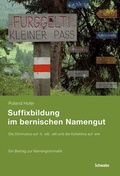Cover: Suffixbildung im bernischen Namengut - Schwabe Verlagsgruppe AG Schwabe Verlag