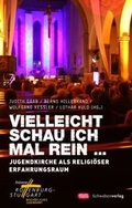 Cover: Vielleicht schau ich mal rein .... - Schwabenverlag