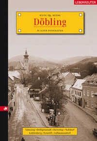 Enlarge image Cover: Döbling - Carl Ueberreuter Verlag