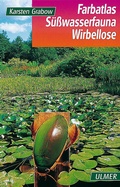 Cover: S&uuml;&szlig;wasserfauna Wirbellose - Verlag Eugen Ulmer