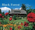 Cover: Black Forest - Stadler Konstanz