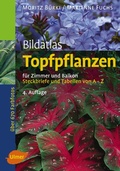 Cover: Topfpflanzen - Verlag Eugen Ulmer