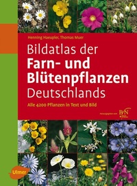 Abbildung von: Bildatlas der Farn- und Blütenpflanzen Deutschlands - Verlag Eugen Ulmer