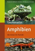 Cover: Amphibien - Verlag Eugen Ulmer
