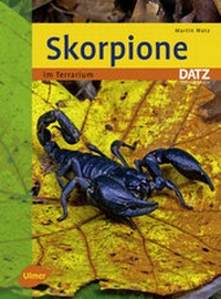 Abbildung von: Skorpione - Verlag Eugen Ulmer