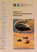 Cover: Robben im schleswig-holsteinischen Wattenmeer - Boyens Buchverlag GmbH & Co. KG