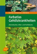 Cover: Farbatlas Geh&ouml;lzkrankheiten - Verlag Eugen Ulmer