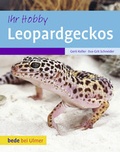 Cover: Leopardgeckos - Verlag Eugen Ulmer