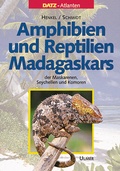 Cover: Amphibien und Reptilien Madagaskars - Verlag Eugen Ulmer