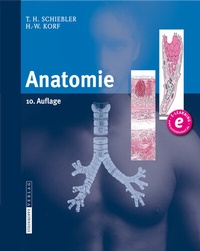 Abbildung von: Anatomie - Steinkopff