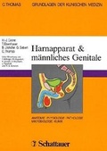 Cover: Grundlagen der klinischen Medizin. Anatomie, Physiologie, Pathologie,... / Harnapparat - M&auml;nnliches Genitale - Schattauer