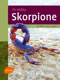 Abbildung von: Skorpione - Verlag Eugen Ulmer