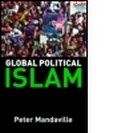 Cover: Global Political Islam - Routledge