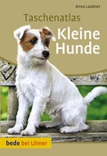 Cover: Kleine Hunde - Verlag Eugen Ulmer
