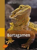 Cover: Bartagamen - Verlag Eugen Ulmer