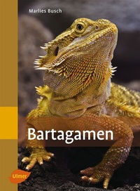 Abbildung von: Bartagamen - Verlag Eugen Ulmer