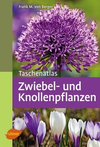 Abbildung von: Zwiebel- und Knollenpflanzen - Verlag Eugen Ulmer