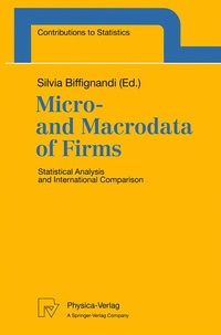 Enlarge image Cover: Micro- and Macrodata of Firms - Physica