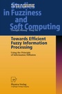 Cover: Towards Efficient Fuzzy Information Processing - Physica