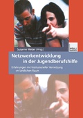 Cover: Netzwerkentwicklung in der Jugendberufshilfe - VS Verlag f&uuml;r Sozialwissenschaften