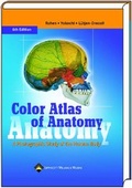 Bild: Color Atlas of Anatomy - Schattauer