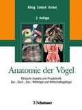 Cover: Anatomie der V&ouml;gel - Schattauer