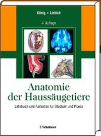 Abbildung von: Anatomie der Haussäugetiere - Schattauer