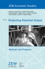 Cover: Projecting Potential Output - Physica