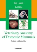 Cover: Veterinary Anatomy of Domestic Mammals - Schattauer