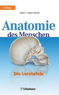 Enlarge image Cover: Anatomie des Menschen - Schattauer