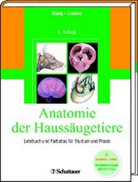 Abbildung von: Anatomie der Haussäugetiere - Schattauer