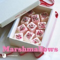 Cover: Marshmallows - Jan Thorbecke Verlag