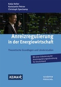 Cover: Anreizregulierung in der Energiewirtschaft - Sch&auml;ffer-Poeschel