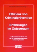 Cover: Effizienz von Kriminalpr&auml;vention - Schmidt-R&ouml;mhild