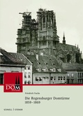 Cover: Die Regensburger Domt&uuml;rme 1859 - 1869 - Schnell & Steiner