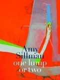 Cover: Amy Sillman - Prestel