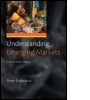 Cover: Understanding Emerging Markets - Routledge