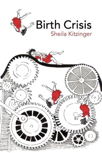 Enlarge image Cover: Birth Crisis - Routledge