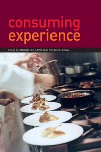 Enlarge image Cover: Consuming Experience - Routledge