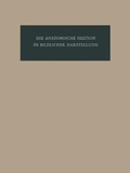 Bild: Die anatomische Sektion in bildlicher Darstellung - Karger, S