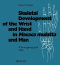 Bild: Skeletal Development of the Wrist and Hand in Macaca mulatta and Man - Karger, S