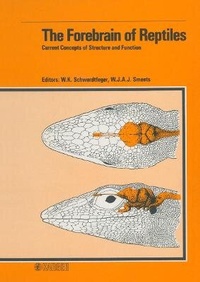 Abbildung von: The Forebrain of Reptiles - Karger, S