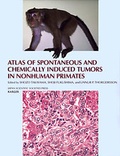 Bild: Atlas of Spontaneous and Chemically Induced Tumors in Nonhuman Primates - Karger, S