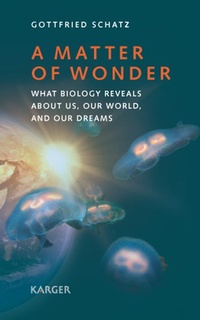 Enlarge image Cover: A Matter of Wonder - Karger, S